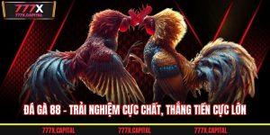 Đá gà 88