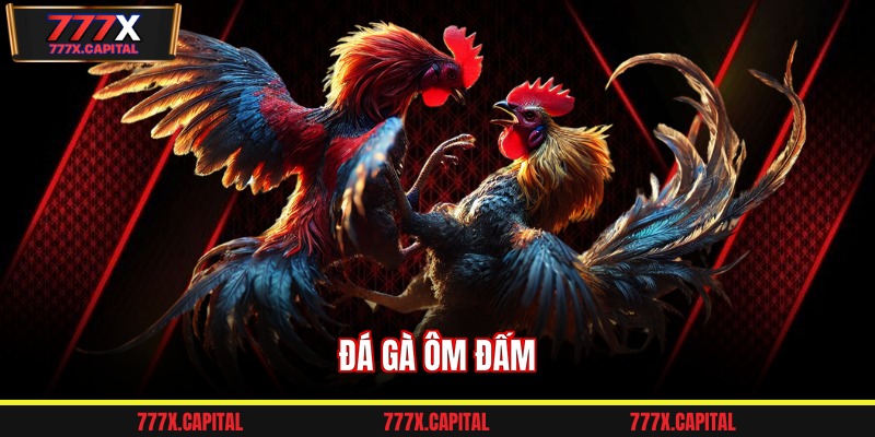 Đá gà ôm đấm