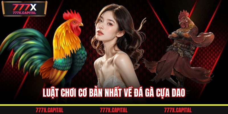 Luật chơi cơ bản nhất về đá gà cựa dao