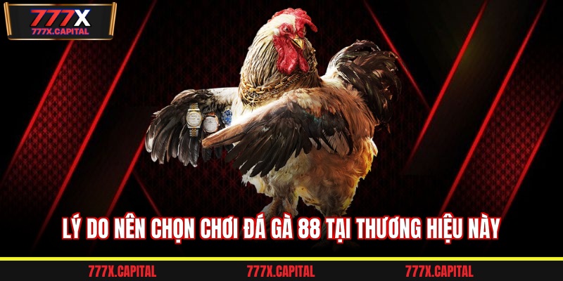 Lý do nên chọn chơi đá gà 88 tại thương hiệu này
